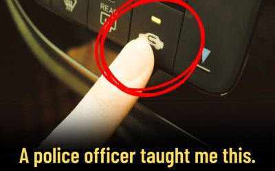 The Dashboard Button Most Drivers Ignore—And Why It Actually Matters