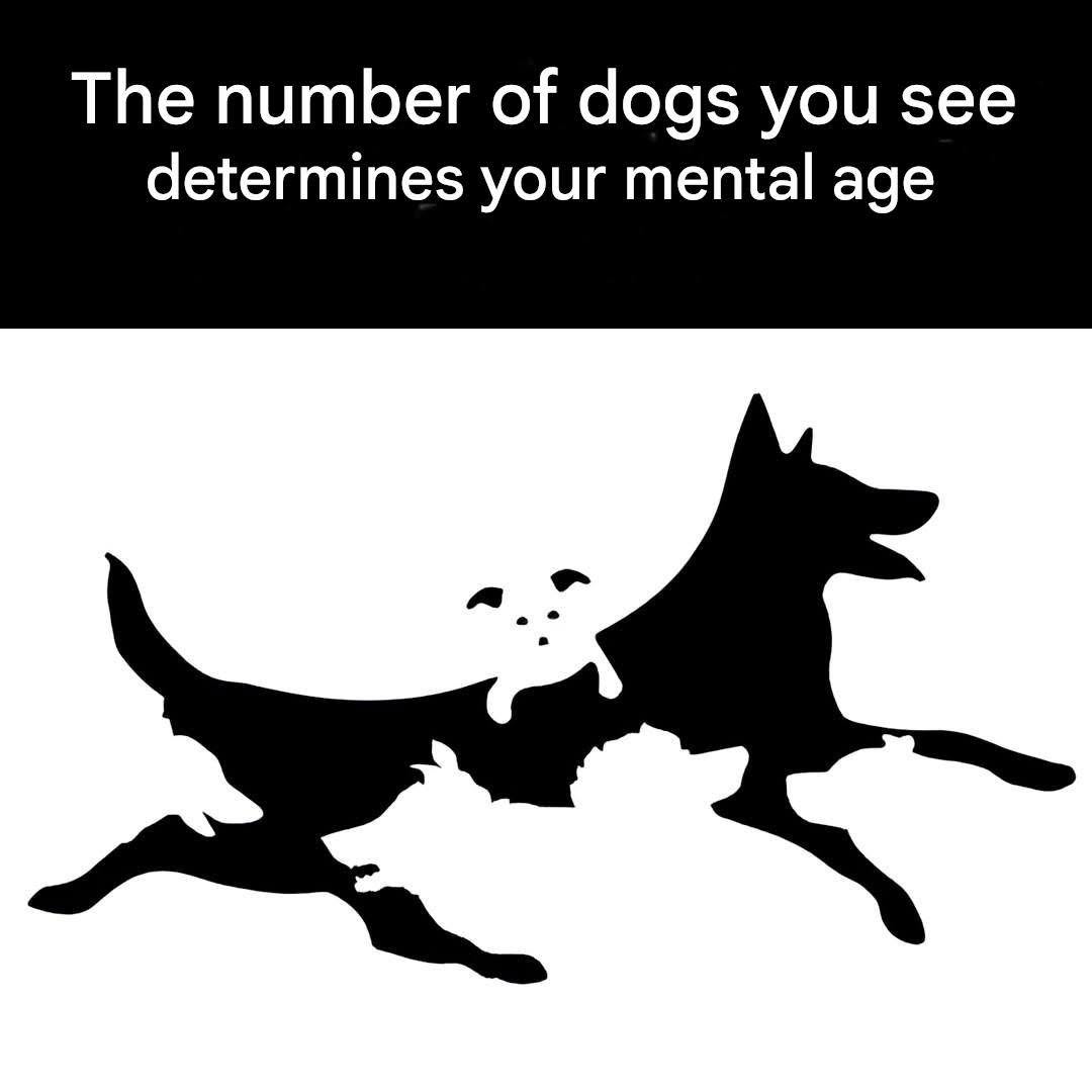 How Many Dogs Do You See