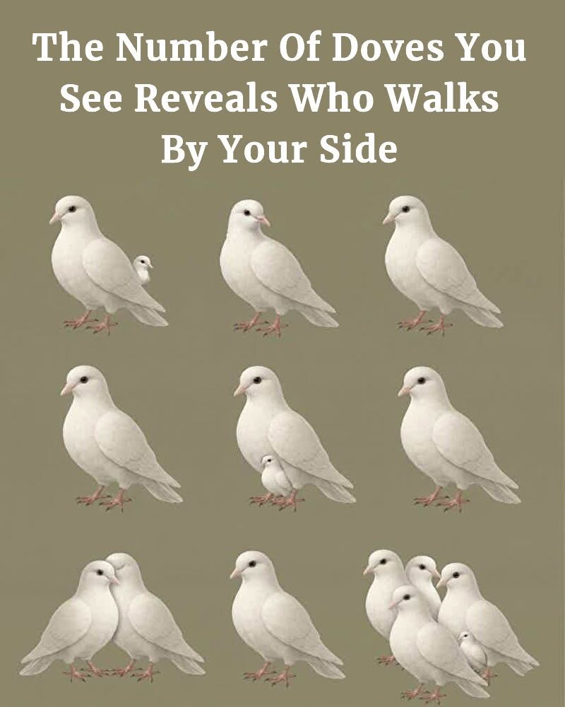 The Number of Doves You See First Reveals Who Walks Beside You