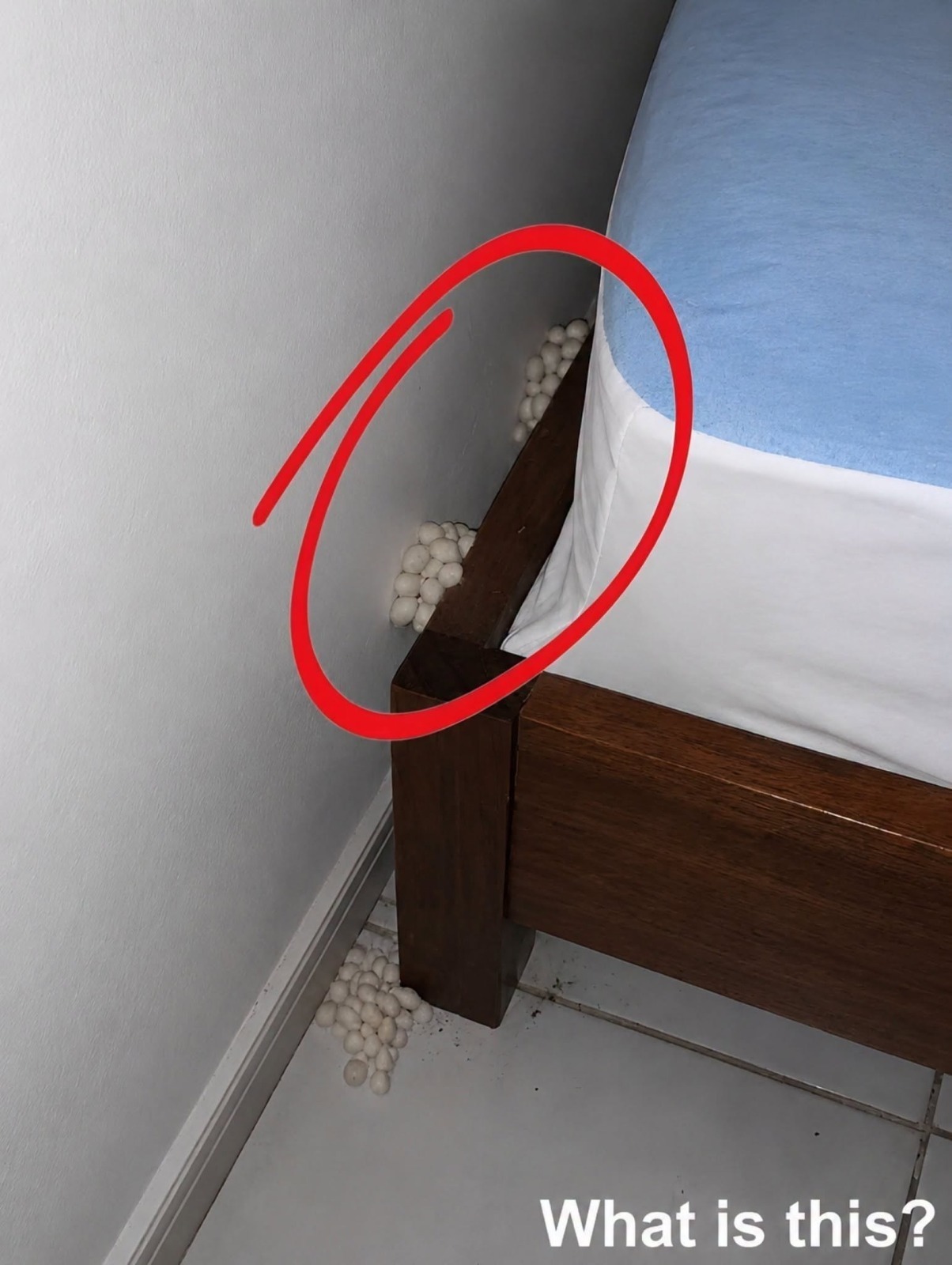 In the evening, after a long day at work, I returned home tired, hoping to sleep a little and rest. Near my bed, I suddenly noticed this. Honestly, I was very scared. Once the fear was over, I started to examine it carefully to understand what it was, but I still can’t identify it. Does anyone know what this is about